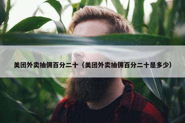 美团外卖抽佣百分二十（美团外卖抽佣百分二十是多少）