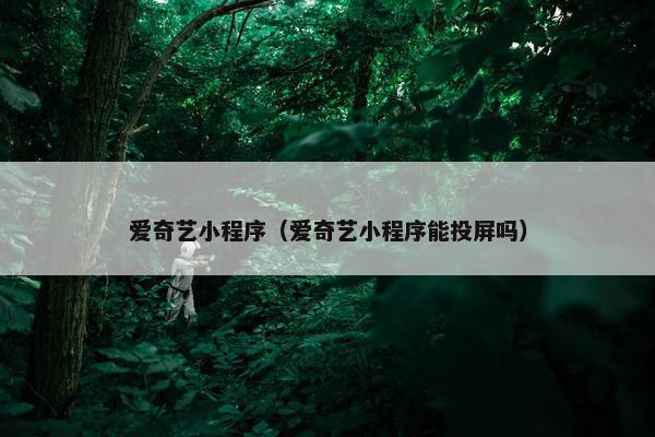 爱奇艺小程序（爱奇艺小程序能投屏吗）