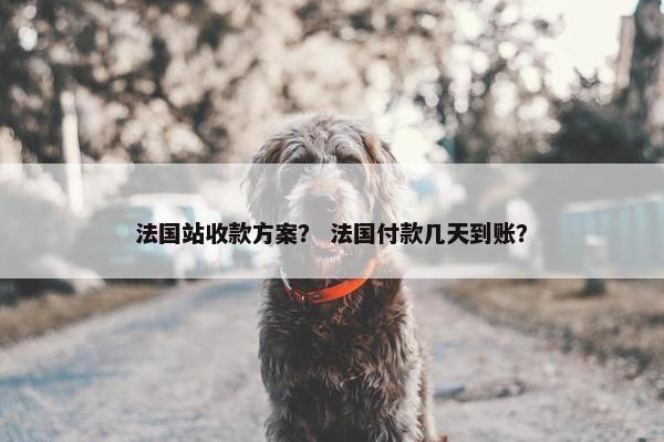 法国站收款方案？ 法国付款几天到账？
