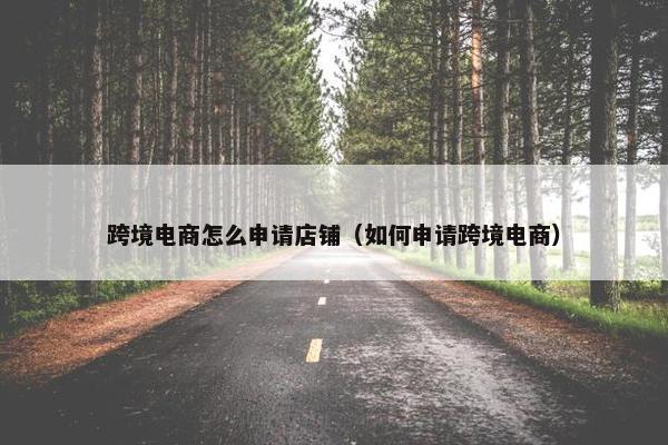 跨境电商怎么申请店铺（如何申请跨境电商）