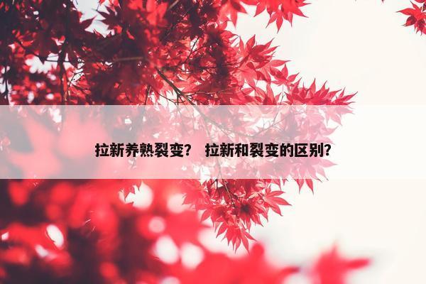 拉新养熟裂变？ 拉新和裂变的区别？