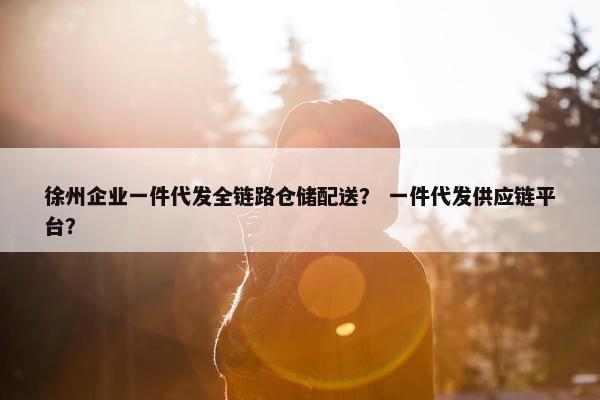 徐州企业一件代发全链路仓储配送？ 一件代发供应链平台？
