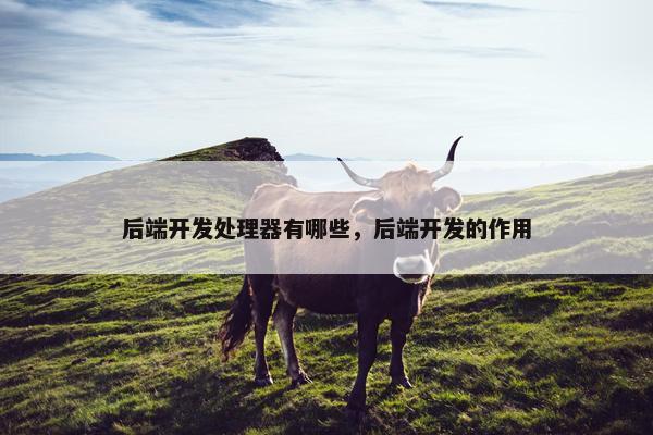 后端开发处理器有哪些，后端开发的作用