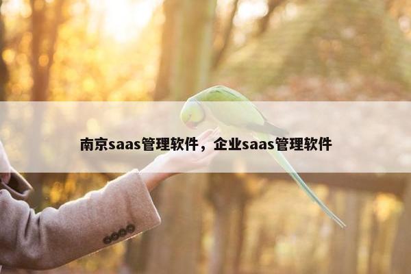 南京saas管理软件，企业saas管理软件