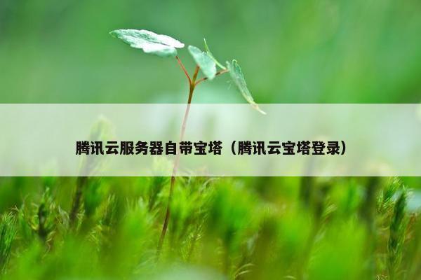 腾讯云服务器自带宝塔（腾讯云宝塔登录）