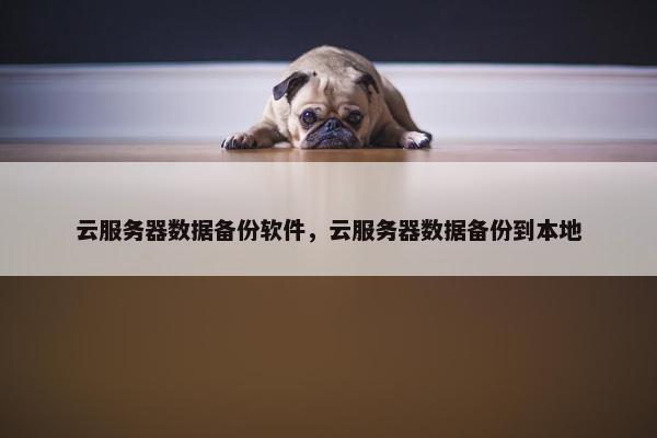 云服务器数据备份软件，云服务器数据备份到本地