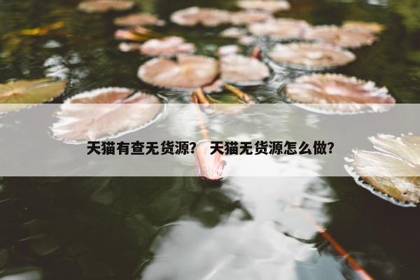 天猫有查无货源？ 天猫无货源怎么做？