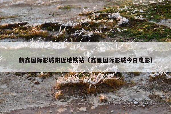 新鑫国际影城附近地铁站（鑫星国际影城今日电影）