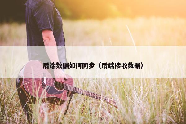 后端数据如何同步（后端接收数据）