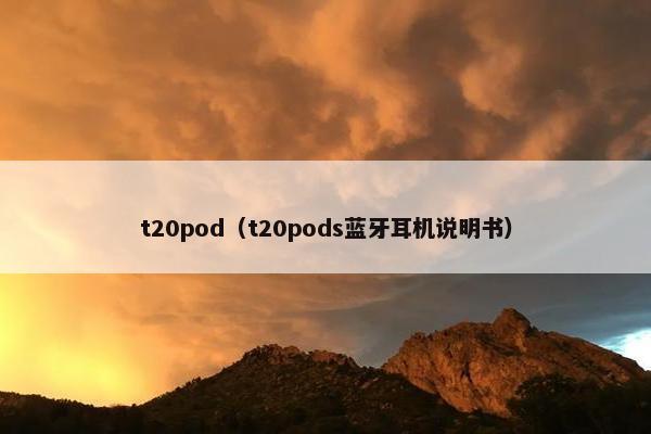 t20pod（t20pods蓝牙耳机说明书）