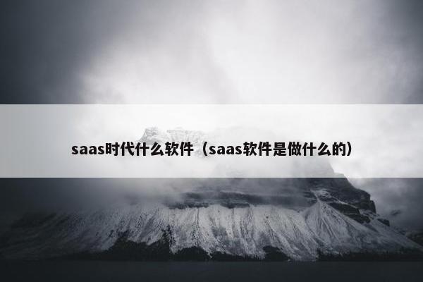 saas时代什么软件（saas软件是做什么的）
