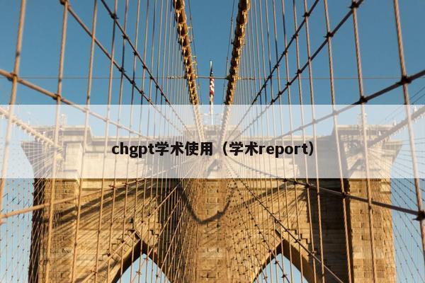 chgpt学术使用（学术report）