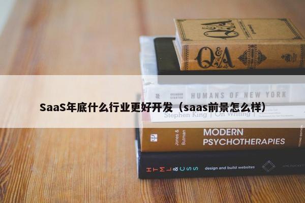 SaaS年底什么行业更好开发（saas前景怎么样）