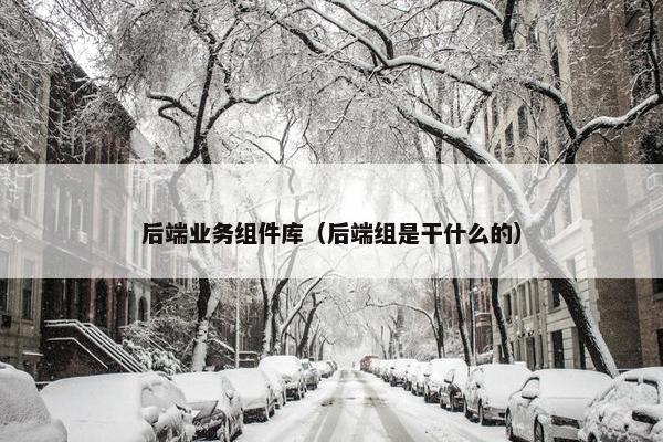 后端业务组件库（后端组是干什么的）