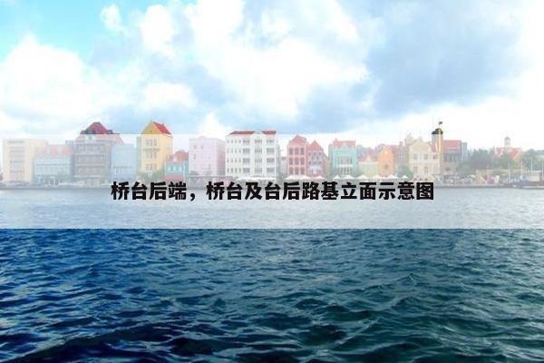桥台后端，桥台及台后路基立面示意图