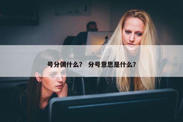 号分佣什么？ 分号意思是什么？