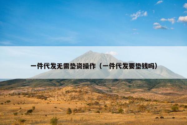 一件代发无需垫资操作（一件代发要垫钱吗）