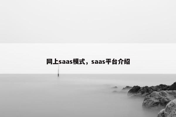 网上saas模式，saas平台介绍
