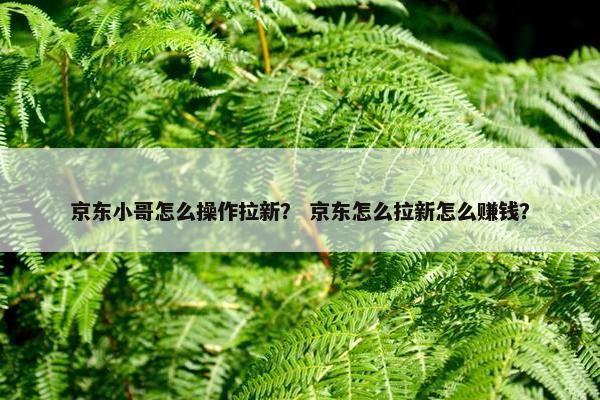 京东小哥怎么操作拉新？ 京东怎么拉新怎么赚钱？
