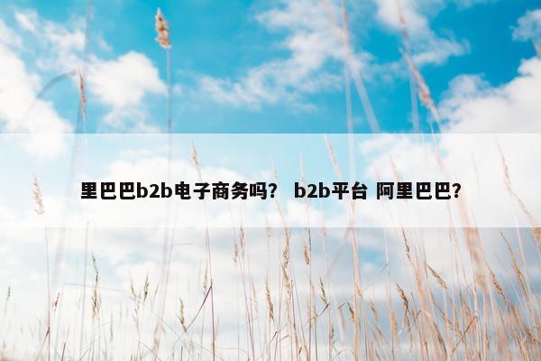 里巴巴b2b电子商务吗？ b2b平台 阿里巴巴？