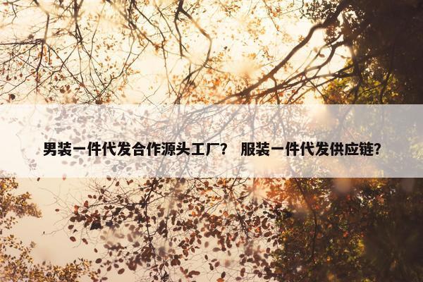 男装一件代发合作源头工厂？ 服装一件代发供应链？