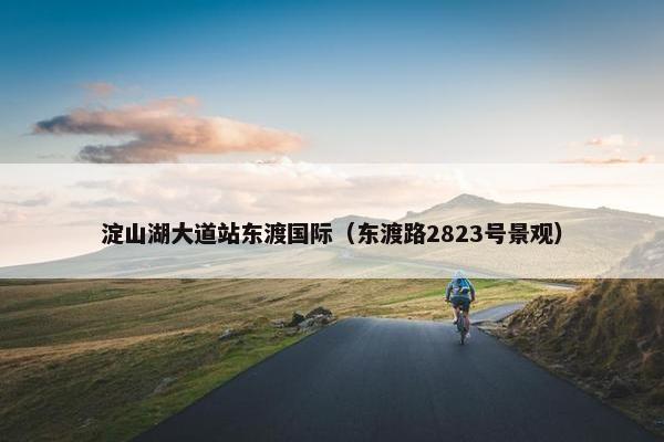 淀山湖大道站东渡国际（东渡路2823号景观）