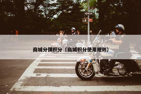 商城分佣积分（商城积分使用规则）
