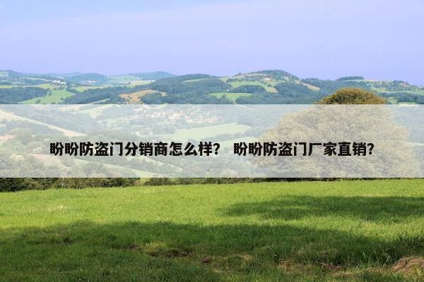 盼盼防盗门分销商怎么样？ 盼盼防盗门厂家直销？
