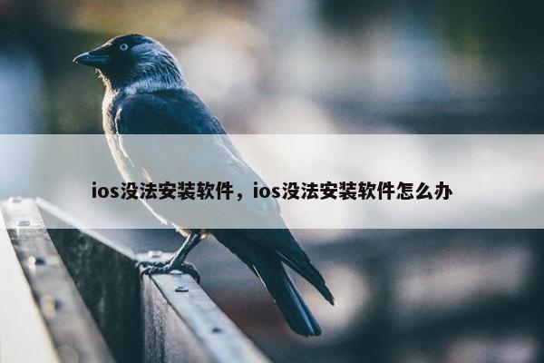 ios没法安装软件，ios没法安装软件怎么办