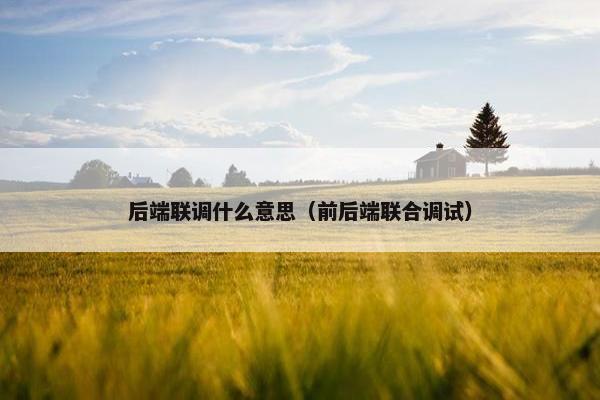 后端联调什么意思（前后端联合调试）
