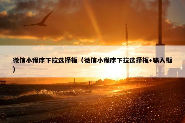 微信小程序下拉选择框（微信小程序下拉选择框+输入框）