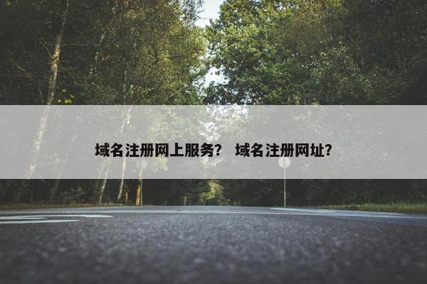 域名注册网上服务？ 域名注册网址？