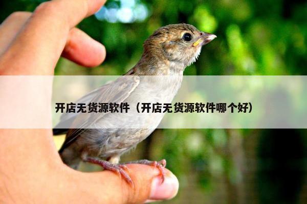 开店无货源软件（开店无货源软件哪个好）