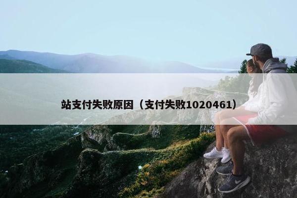 站支付失败原因（支付失败1020461）