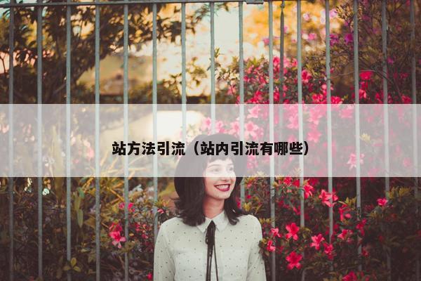 站方法引流（站内引流有哪些）