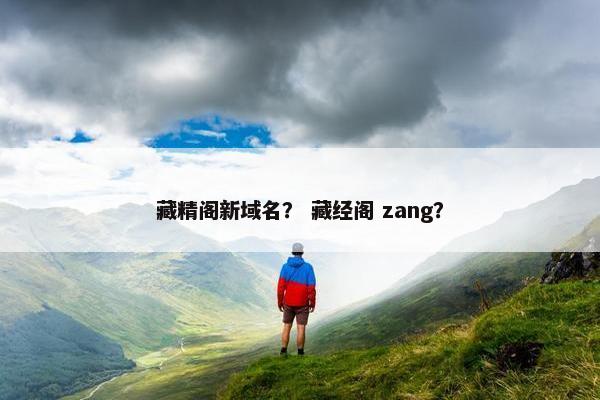 藏精阁新域名？ 藏经阁 zang？