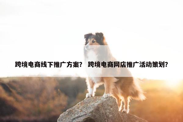 跨境电商线下推广方案？ 跨境电商网店推广活动策划？