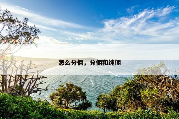 怎么分佣，分佣和纯佣