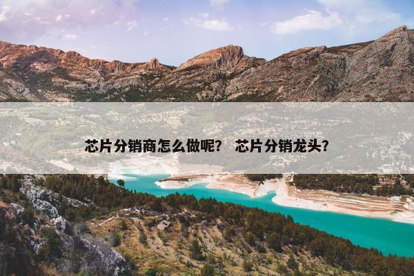 芯片分销商怎么做呢？ 芯片分销龙头？