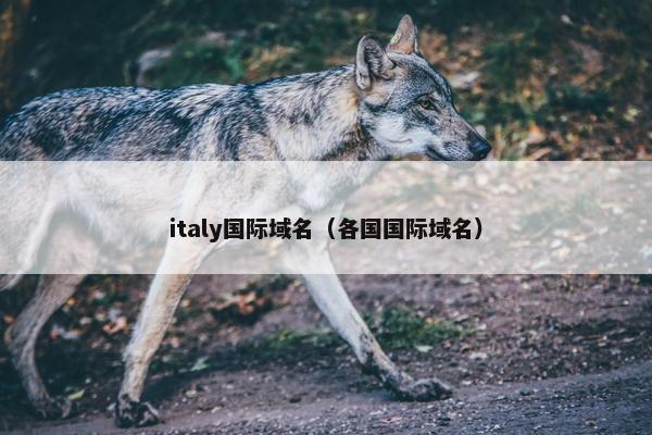 italy国际域名（各国国际域名）
