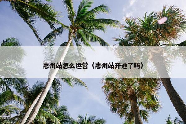 惠州站怎么运营（惠州站开通了吗）