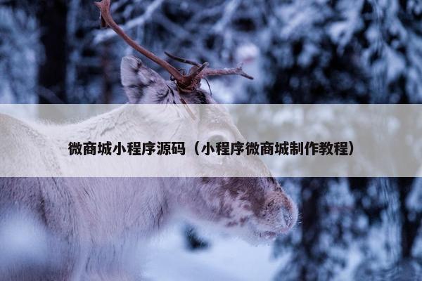 微商城小程序源码（小程序微商城制作教程）