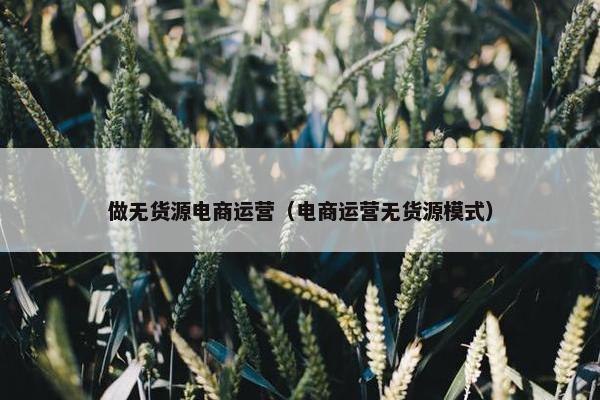 做无货源电商运营（电商运营无货源模式）