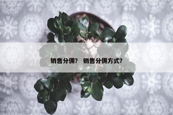 销售分佣？ 销售分佣方式？