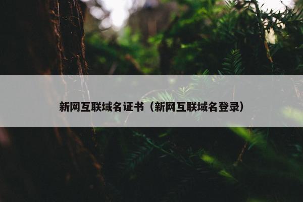 新网互联域名证书（新网互联域名登录）