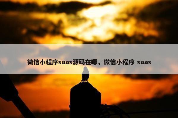 微信小程序saas源码在哪，微信小程序 saas