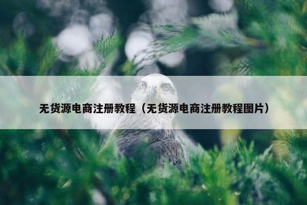 无货源电商注册教程（无货源电商注册教程图片）