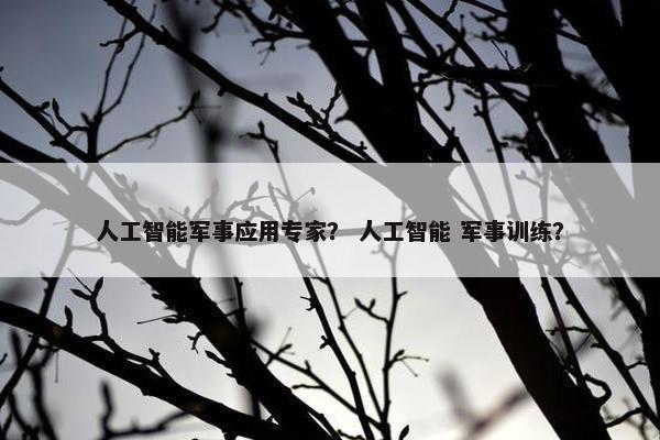 人工智能军事应用专家？ 人工智能 军事训练？