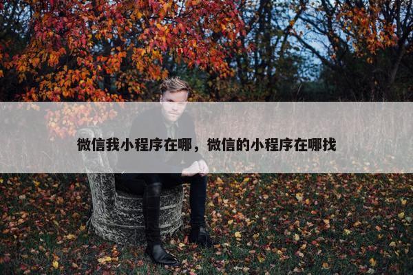 微信我小程序在哪，微信的小程序在哪找