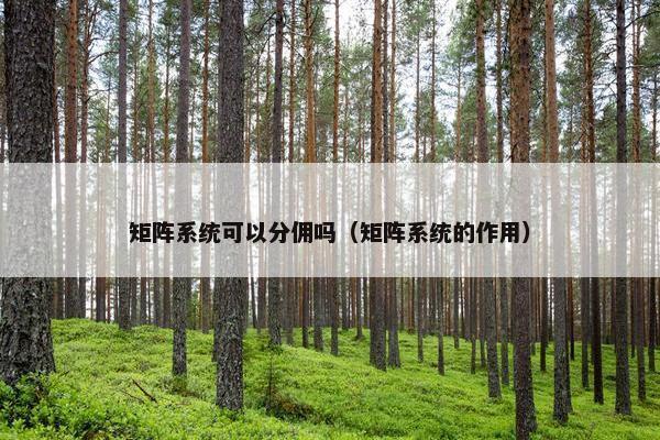 矩阵系统可以分佣吗（矩阵系统的作用）